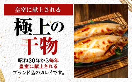  献上鰈 上品な味わい 若狭かれい一夜干し 約100g×5尾セット / 干物 魚介 冷凍 ギフト 小浜市 / まるほ商店 【配送不可地域：北海道・沖縄・離島】 [BFCS059]
