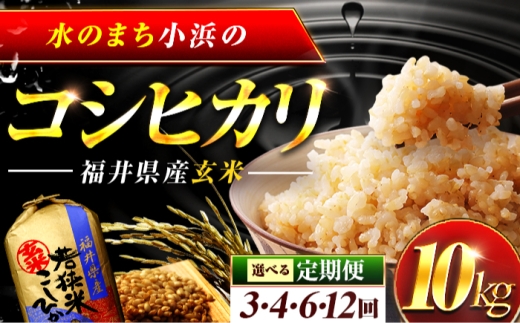 【6回定期便/2ヵ月に1回】 福井県産 コシヒカリ 玄米 10kg 一等級 /甘みと粘りが自慢 王道米 こしひかり 小浜市 / 若狭ふれいあい市場 [BFEL016]