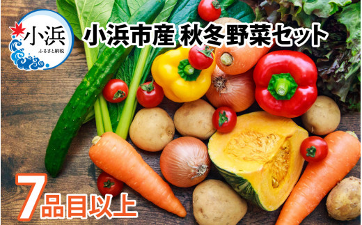小浜市産 秋冬野菜セット 7品目以上 | 野菜セット 野菜詰め合わせ 旬 新鮮 地産地消 福井 冬野菜  [BFDB001]