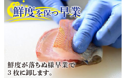 小鯛ささ漬 大樽 180g×3樽 計540g  【配送不可地域：離島】  [BFAA045] 