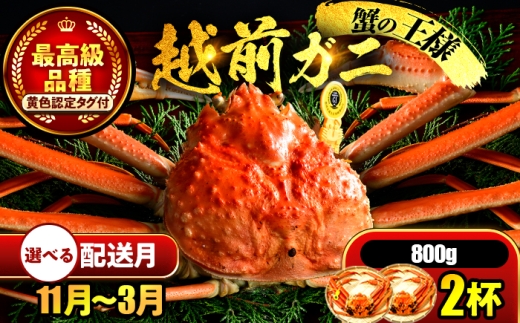 【先行予約】 【12月配送】 越前がに 800ｇ×2杯 小浜市 / まるほ商店 【配送不可地域：北海道・沖縄・離島】[BFCS025-12]