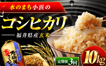 【3回定期便】 福井県産 コシヒカリ 玄米 10kg 一等級 /甘みと粘りが自慢 王道米 こしひかり 小浜市 / 若狭ふれいあい市場 [BFEL014]