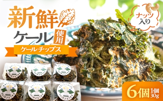 ケールチップス CafeSeasons 手作り 国産ケール使用 カシューナッツとスパイス仕立て / ヘルシー おやつ プラントベース おつまみ 小浜市 / Cafe Seasons [BFCC011]