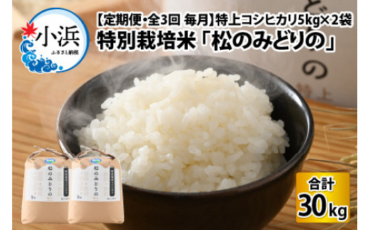 【定期便】 【全3回(毎月)】 特上コシヒカリ 5kg × 2袋 令和6年産 特別栽培米 「松のみどりの」 [BFBD003]