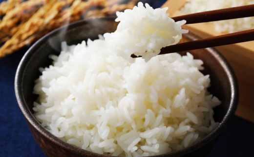 小浜のコシヒカリ 10kg（5kg×2袋）/ 白米 精米 国産米 福井県 小浜市 / 市左ヱ門米屋 [BFEN001]
