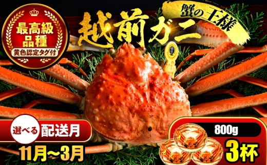 【先行予約】 【11月配送】 越前がに 800ｇ×3杯 小浜市 / まるほ商店 【配送不可地域：北海道・沖縄・離島】[BFCS026-11]