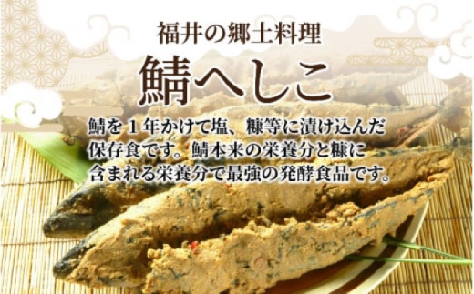 【自家製】 鯖へしこ 1尾 小浜市 / 朽木屋 [BFCM001]