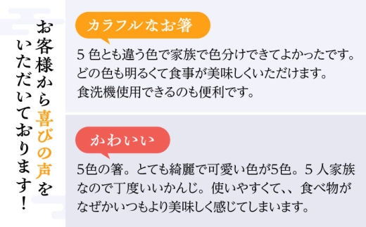 若狭塗箸　【食洗機対応】持ちやすい木彫り箸　にっぽんの伝統色５膳セット [BFCL003]