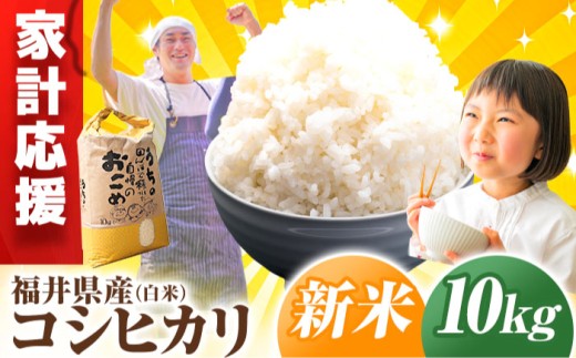 【 先行予約 /10月以降配送】 【令和7年産】福井県産 こしひかり 白米10kg / 小浜市 / Grow Farm [BFDI002]