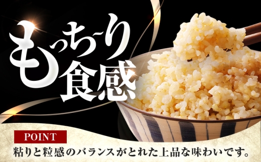 【2月発送】 福井県産 コシヒカリ 玄米 10kg 一等級 /甘みと粘りが自慢 王道米 こしひかり 小浜市 / 若狭ふれいあい市場 [BFEL003]