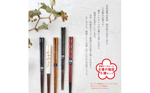 箸屋がこだわったお箸の福袋 5膳入｜日本製 箸 伝統工芸品 日用品 木彫り 木 若狭塗 天然 おしゃれ カラフル 新年 新しいお箸 新生活 新生活準備 5色 塗り箸 国産 送料無料  [BFDC001]