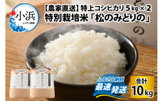 【農家直送】特上コシヒカリ5kg×2袋　令和4年産　特別栽培米　福井県小浜市「松のみどりの」 [BFBD007]
