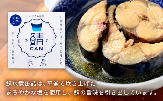 旬獲れ 鯖缶詰　3ヶ詰め合わせ(味付・味噌・水煮)×2セット [BFAA055]