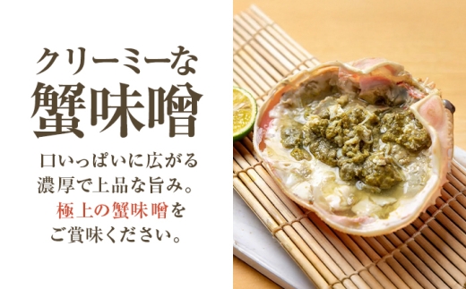 【先行予約】 【2月配送】 越前がに 900ｇ×3杯 小浜市 / まるほ商店 【配送不可地域：北海道・沖縄・離島】[BFCS029-2]