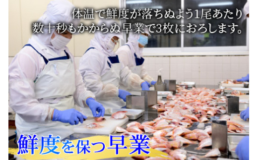 小鯛ささ漬大樽 180g×2樽 計360g  【配送不可地域：離島】  [BFAA044] 