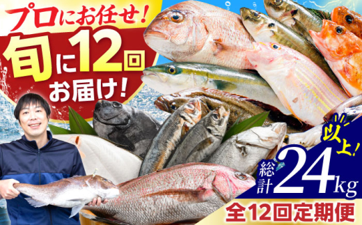 【定期便】 【全12回(毎月発送)】 【下処理済】 旬の天然鮮魚 2kg おまかせ セット 【加福鮮魚】 「若狭小浜港産地直送」！　 小浜市 / 加福鮮魚 【配送不可地域：北海道、北東北（秋田、青森、岩手）、九州、沖縄、離島】  [BFBC017]
