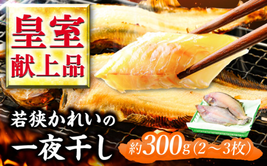 国産 若狭かれいの一夜干し 300g (2〜3枚) ヤナギムシカレイ  【配送不可地域：北海道・沖縄・離島】  [BFAE022]