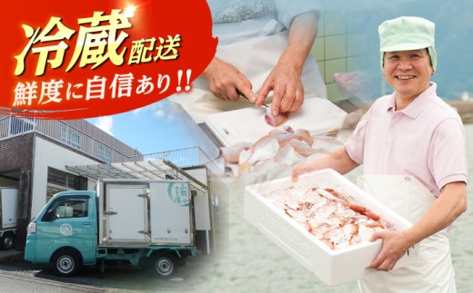 上杉の小鯛ささ漬半樽90g 6個・のどぐろささ漬昆布〆半樽90g 3個 厳選2種詰め合わせ 計810g 小浜市 / 上杉商店  【配送不可地域：離島】  [BFAD006] 