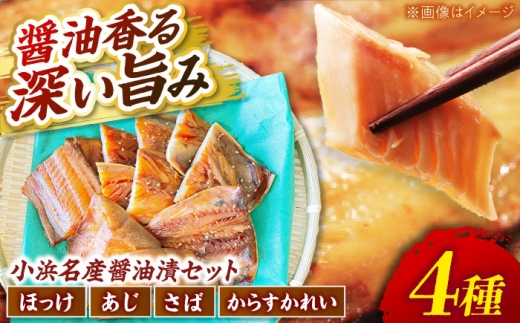 竹下商店　小浜名産お魚醤油漬セット4種（冷凍）  【配送不可地域：北海道・沖縄・離島】  [BFCO007]