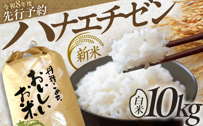 【令和8年産 新米】 【先行予約 / 8月下旬より順次発送 】 ハナエチゼン 白米 10kg / 米 お米 精米 小浜市 / 北川博司 [BFDG004]