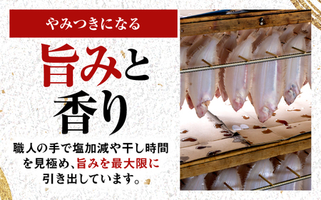  献上鰈 上品な味わい 若狭かれい一夜干し 約100g×5尾セット / 干物 魚介 冷凍 ギフト 小浜市 / まるほ商店 【配送不可地域：北海道・沖縄・離島】 [BFCS059]