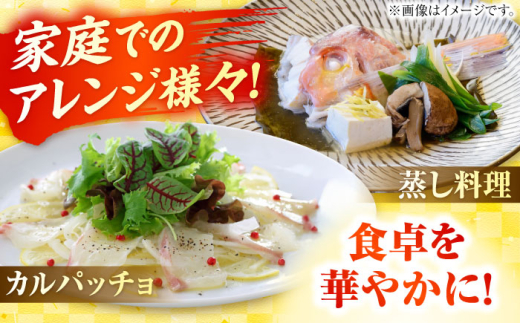 若狭グジの一塩仕立て 500g×2尾   小浜市 / まるほ商店 【配送不可地域：北海道・沖縄・離島】  [BFCS002] 