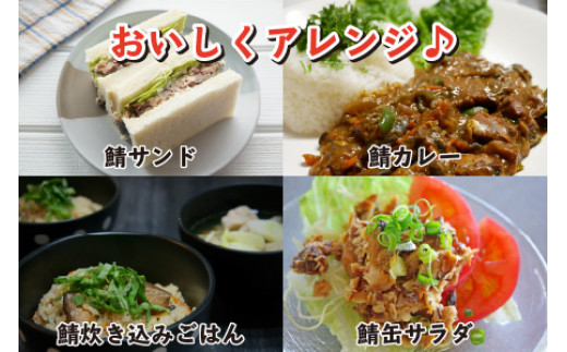 鯖缶詰12缶詰め合わせB 180g×12缶｜サバ缶 鯖缶 さば缶 鯖 サバ さば 缶詰 サバ缶詰 鯖缶詰 缶 詰合せ 詰め合せ セット 非常食 防災 備蓄 常温 常備食 保存食 [BFAB035]