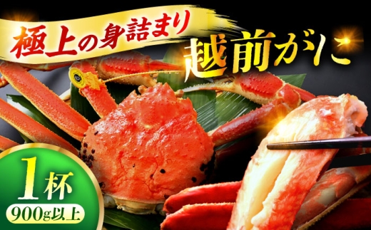 「若狭小浜港産地直送」 越前がに (ズワイガニ) ボイル 1杯 / 蟹 かに カニ 小浜市 / 加福鮮魚【配送不可地域：北海道・沖縄・離島】  [BFBC004]