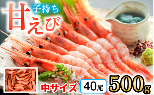 子持ち甘えび 約40尾 ×1箱（500ｇ）  【配送不可地域：北海道・沖縄・離島】  [BFAA048]
