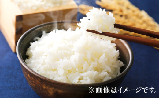 【令和8年産 新米】 【先行予約 / 8月下旬より順次発送 】 ハナエチゼン 白米 10kg / 米 お米 精米 小浜市 / 北川博司 [BFDG004]