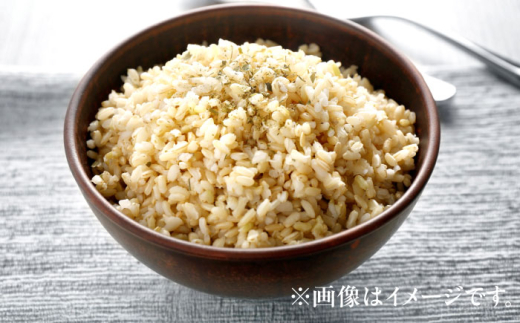 【令和8年産 新米】 【先行予約 /8月下旬より順次発送 】 ハナエチゼン 玄米 10kg×2 （20kg） / 米 お米 健康 小浜市 / 北川博司 [BFDG005]