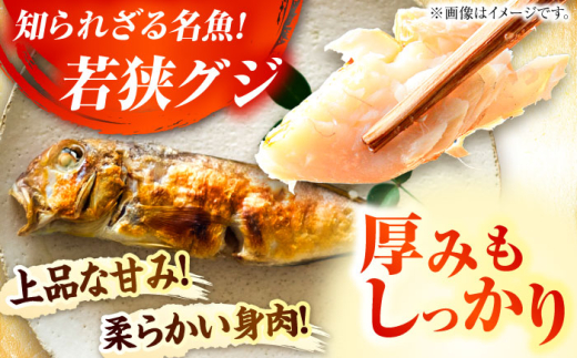 若狭グジの一塩仕立て 700g×1尾   小浜市 / まるほ商店 【配送不可地域：北海道・沖縄・離島】  [BFCS003] 