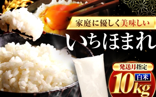 [7月発送]福井県産 いちほまれ 精米 10kg 県産ブランド米 / コメ 白米 米 小浜市 / 梅田東米穀店 [BFEK026]