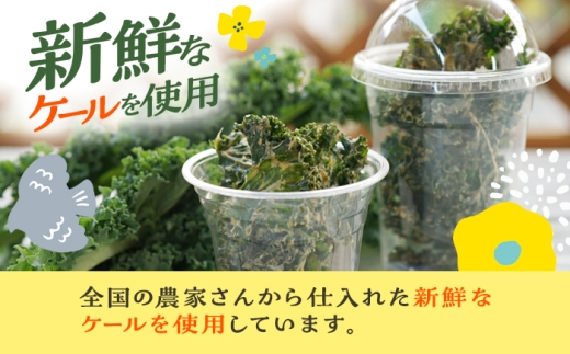ケールチップス CafeSeasons 手作り 国産ケール使用 カシューナッツとスパイス仕立て / ヘルシー おやつ プラントベース おつまみ 小浜市 / Cafe Seasons [BFCC011]