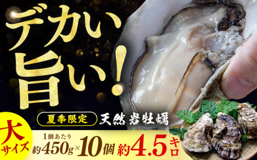 【先行予約 / 2026年6月下旬より順次発送】 若狭湾 生食用 天然岩牡蠣 大10個（軍手、牡蠣ナイフ付き） 小浜市 / 加福鮮魚【配送不可地域：北海道・沖縄・離島】 [BFBC010]