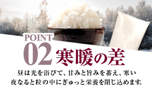 【7月発送】小浜市産コシヒカリ 精米 10kg 若狭の自然が育てたごはん 国産米 福井県 / 白米  地域密着 米問屋 小浜市 / 梅田東米穀店 [BFEK008]