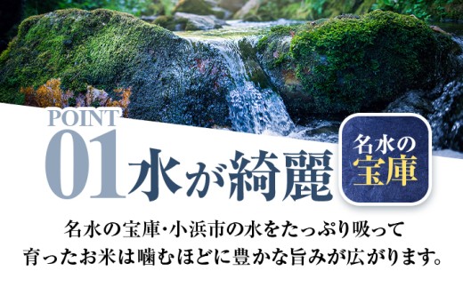 【7月発送】小浜市産コシヒカリ 精米 10kg 若狭の自然が育てたごはん 国産米 福井県 / 白米  地域密着 米問屋 小浜市 / 梅田東米穀店 [BFEK008]