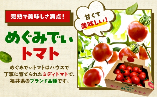 めぐみでぃトマト100%ジュース　500ml×3本　若狭の恵 小浜市 / 若狭の恵  [BFAG002]