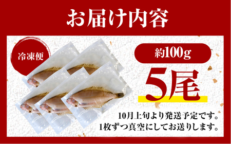 献上鰈 上品な味わい 若狭かれい一夜干し 約100g×5尾セット / 干物 魚介 冷凍 ギフト 小浜市 / まるほ商店 【配送不可地域：北海道・沖縄・離島】 [BFCS059]