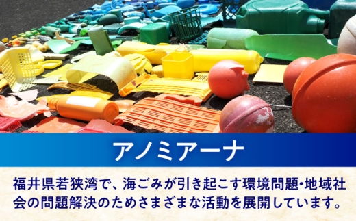 海洋プラスチック アップサイクル オーシャングラス ブルーライトカット (クリア) レンズ レッドフレーム / サングラス 眼鏡 鯖江眼鏡 小浜市 / アノミアーナ [BFDM006]