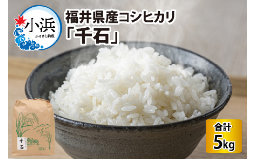 【令和6年産】福井県産コシヒカリ「千石」 5kg [BFCA002]