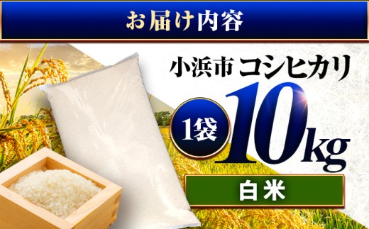 【7月発送】小浜市産コシヒカリ 精米 10kg 若狭の自然が育てたごはん 国産米 福井県 / 白米  地域密着 米問屋 小浜市 / 梅田東米穀店 [BFEK008]