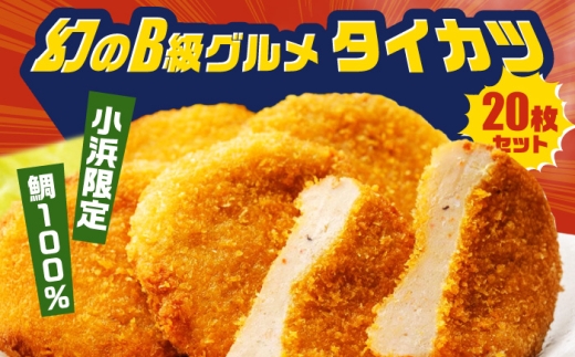 タイカツ 10枚入×2セット 魚のすり身のカツ 練り物 フライ すり身 ソールフード 揚げるだけ 【冷凍】 小浜市 / 小浜海産物 【配送不可地域：北海道・沖縄・離島】 [BFAA094]