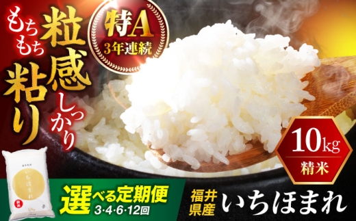 【6回定期便/2ヵ月に1回】  福井県産 いちほまれ 精米 (白米) 10kg 福井自慢のブランド米 一等級　福井県米 / コシヒカリ発祥 ブランド 特A常連 小浜市 / 若狭ふれあい市場 [BFEL050]