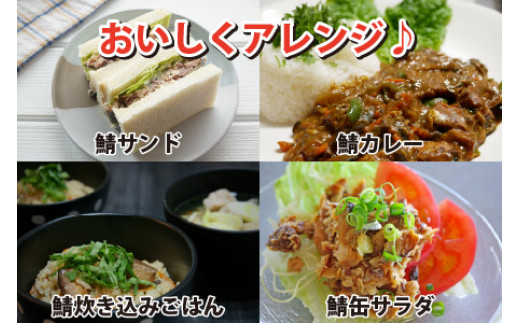 旬獲れ極み鯖味付缶詰　【本醸造醤油仕立て】　16缶｜ サバ缶 鯖缶 さば缶 鯖 サバ さば 缶詰 サバ缶詰 鯖缶詰 缶 詰合せ 詰め合せ セット 非常食 防災 備蓄 常温 常備食 保存食 [BFAB005]