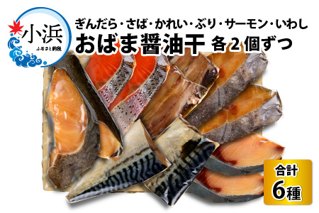 おばま醤油干 厳選6種詰め合わせ 計12枚 (ぶり、サーモン、サバ、いわし、かれい、ぎんだら)  【配送不可地域：北海道・沖縄・離島】  [BFAA066]