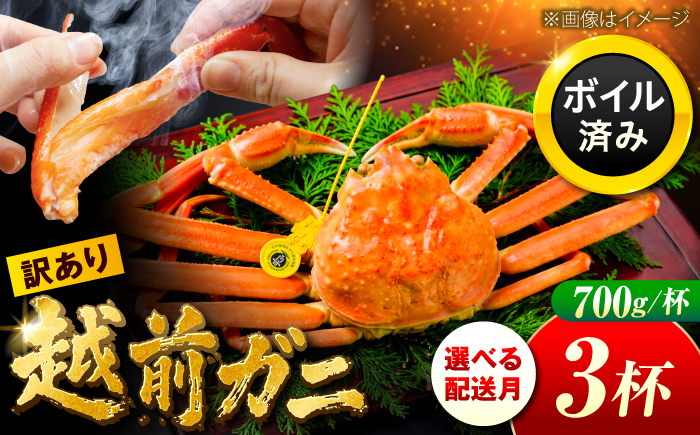 【先行予約/11月7日より順次配送】訳アリ 脚折れあり 越前がに 700ｇ×3ハイ 小浜市 /まるほ商店 【配送不可地域：北海道・沖縄・離島】[BFCS067]