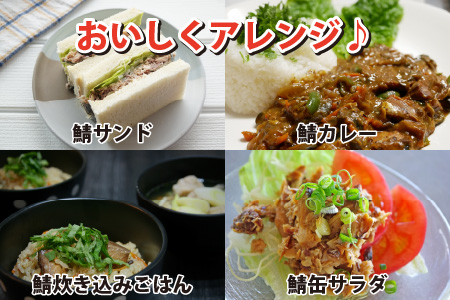 旬獲れ極み鯖味付缶詰　【本醸造醤油仕立て】　8缶 ｜ サバ缶 鯖缶 さば缶 鯖 サバ さば 缶詰 サバ缶詰 鯖缶詰 缶 詰合せ 詰め合せ セット 非常食 防災 備蓄 常温 常備食 保存食 [BFAB004]