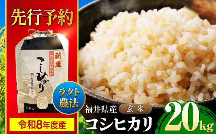【令和8年産 新米】 【 先行予約 /9月中旬から発送】　福井県産 ラクト農法 コシヒカリ 玄米 10kg×2 （20kg）/ 米 お米 精米 国産米 /  小浜市 / 北川博司 [BFDG007]