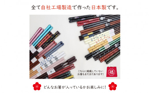 箸屋がこだわったお箸の福袋 5膳入｜日本製 箸 伝統工芸品 日用品 木彫り 木 若狭塗 天然 おしゃれ カラフル 新年 新しいお箸 新生活 新生活準備 5色 塗り箸 国産 送料無料  [BFDC001]